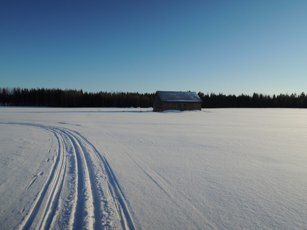 Talvinen peltomaisema